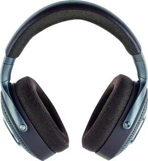 Focal Hadenys Bruin