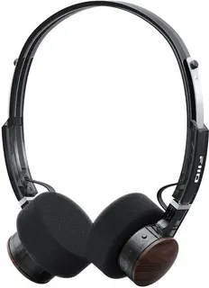 FiiO EH11 Zwart