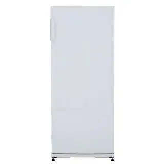 Exquisit GS245-H-280EW Vrieskast Wit
